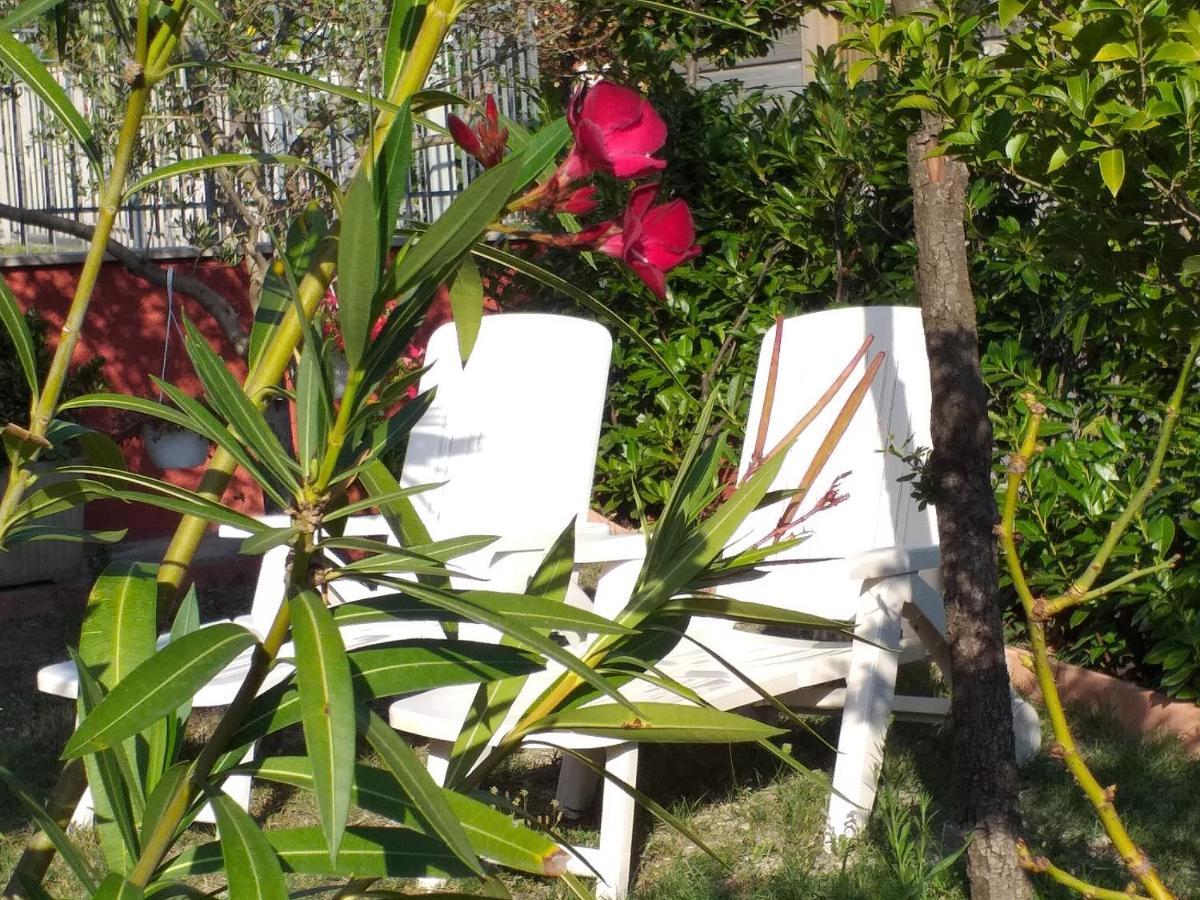 קאלי Bed & Breakfast La Rosa Rossa מראה חיצוני תמונה