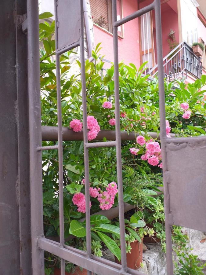 קאלי Bed & Breakfast La Rosa Rossa מראה חיצוני תמונה